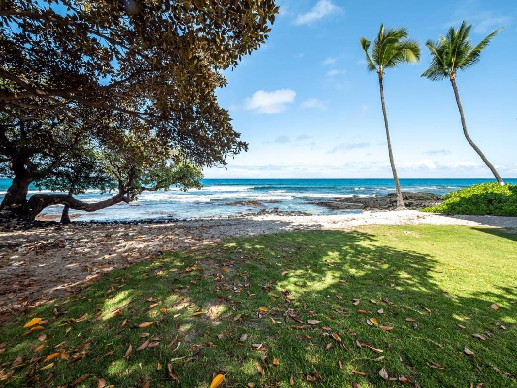 Oceanfront 1 Bedroom 2 Bathroom With Large Lanai - Kona Bali Kai 218 Кайлуа Кона Екстериор снимка